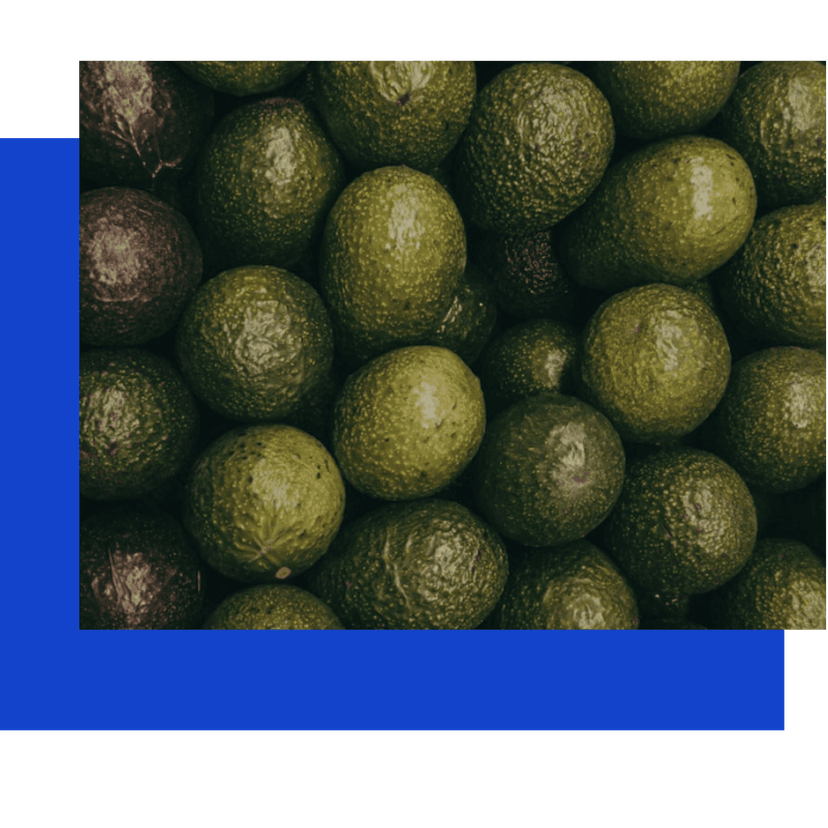 Banner image for our Exports service